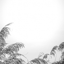 MR9A1121_(1280_x_1024)
